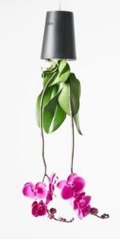 Boskke Sky Planter Recycled Large 15cm - Black