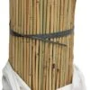 5ft Bamboo Canes Garden Plant Support X 20 -Garden Care Shop 329 500 5f4675 bamboo canes cane support plant grow stakes