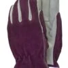 Town & Country Premium Leather & Suede Gloves In Plum - Medium -Garden Care Shop 360 500 5f4675 batgl114m