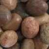 Garden Cobbles: Scottish Cobbles 50mm-75mm 20kg -Garden Care Shop 498 500 5f4675 scottish cobbles aggregates landscape stones water feature