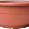 Andromeda Bowl Planter 60cm - Terracotta Effect -Garden Care Shop 500 230 5f4675 4491 andromeda bowl bulb planter pb terracotta plastic