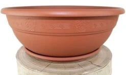 Andromeda Bowl Planter 21cm With Matching Saucer - Terracotta Effect