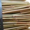 3ft Thin Bamboo Canes X 500 - 6-8lbs 2 3ft Thin Bamboo Canes X 500 - 6-8lbs -Garden Care Shop 500 347 5f4675 nifc368