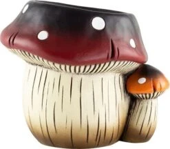Toadstool Plant Pot