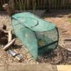Pop-Up Growbag Net Cage 110cm X 45cm X 55cm -Garden Care Shop 500 495 5f4675 pop up grow bag growbag net cloche