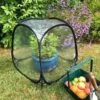 Pop-Up Mini Greenhouse Cloche 50cm X 50cm X 50cm -Garden Care Shop 500 500 5f4675 minipol pop up greenhouse bell cloche plants