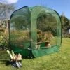 Pop-Up Net Cage 100cm X 100cm X 135cm 1 Pop-Up Net Cage 100cm X 100cm X 135cm -Garden Care Shop 500 500 5f4675 pop up net cage brassica vegetable garden