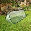 Pop-Up Mini Polytunnel Cloche - Large -Garden Care Shop 500 500 5f4675 pop up poly cloche protection tunnel garden 2