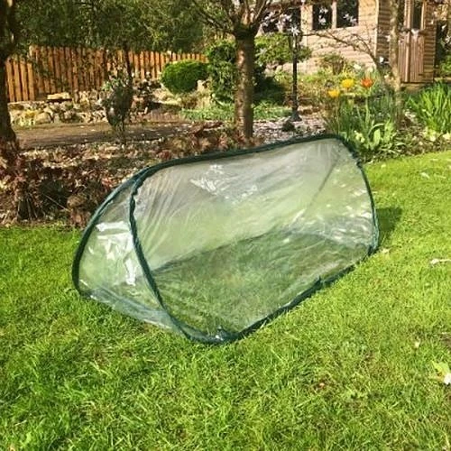 Pop-Up Mini Polytunnel Cloche - Large